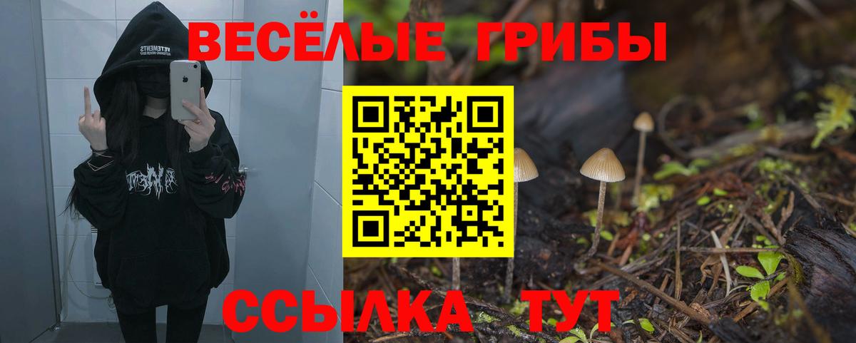 Псилоцибиновые грибы мицелий  Галлюциногенные грибы Psilocybe  Рыбинск  Вход с VPN 